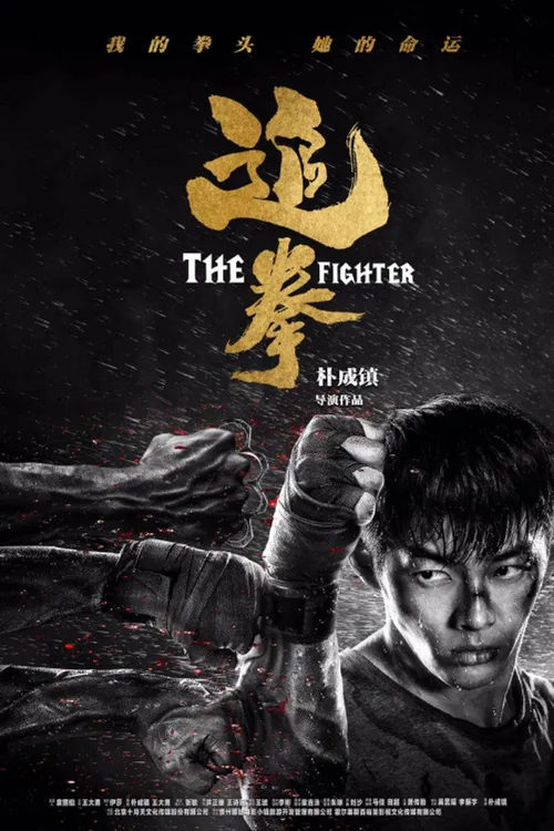 The Fighter